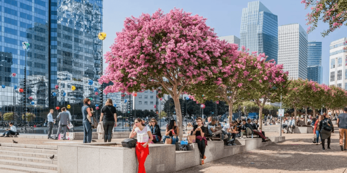 Le Bassin Takis : un panorama de prestige