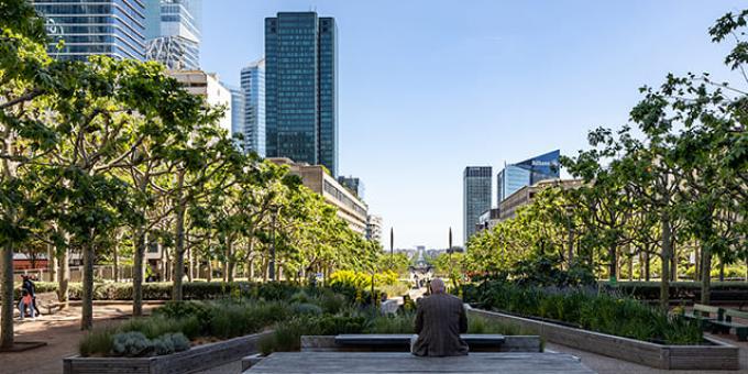 Ambiance Esplanade de La Défense, travaux Parc